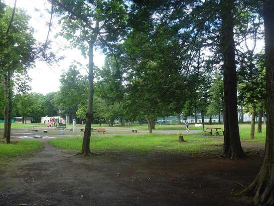 Ominami Park-武藏村山市必去景点