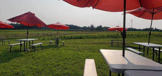 Modales Wines景点图片