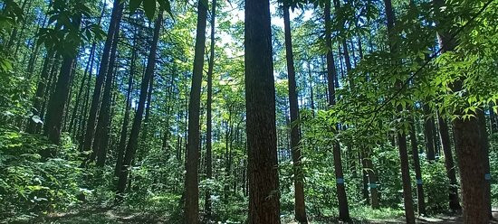 Garisan-洪川郡必去景点