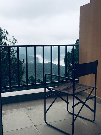 Nature Stay Kasauli主图