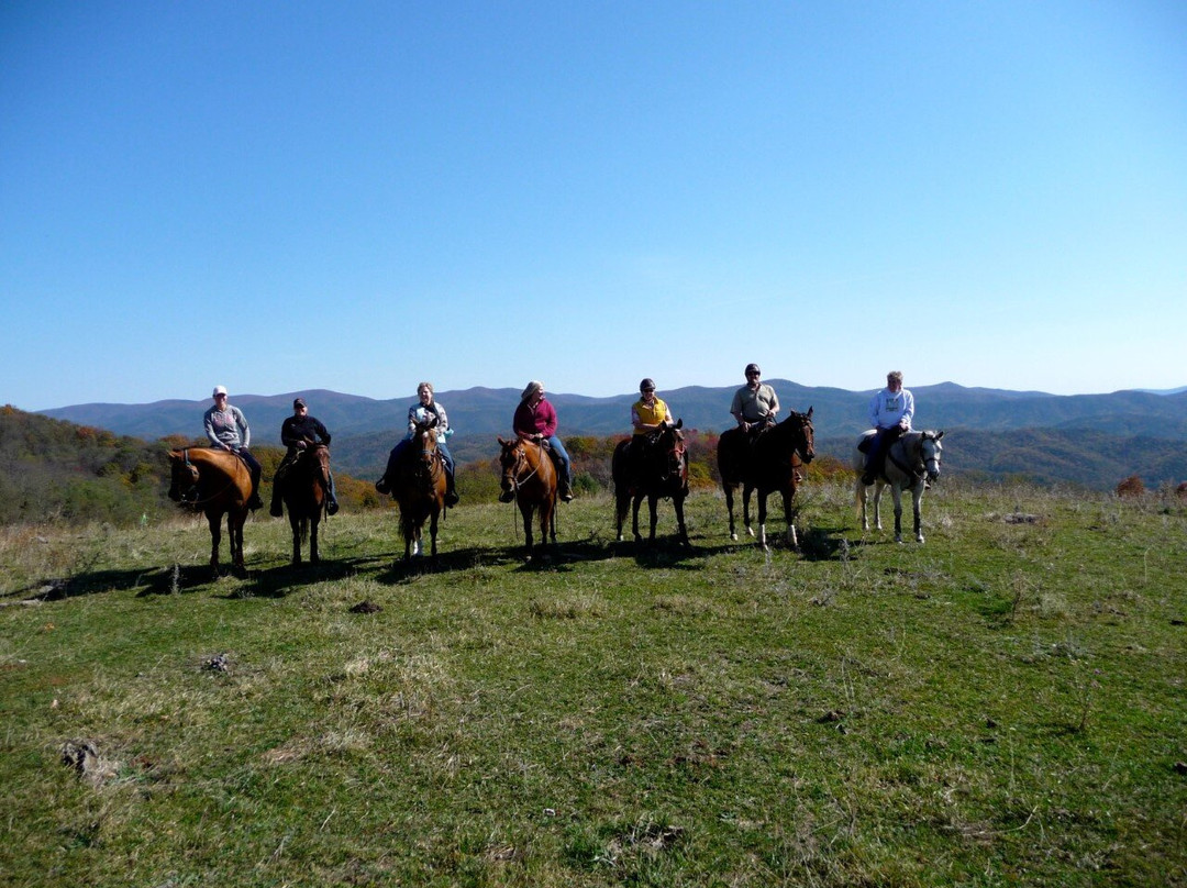Mountaintop Ranch Wilderness Trail Rides-Elkton必去景点
