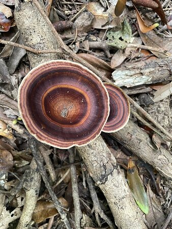 Odyssey Bound-道格拉斯港必去景点