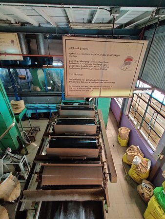Tea Museum景点图片