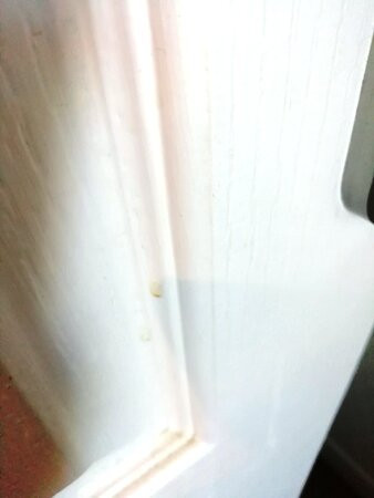 贝斯特韦斯特德拉普拉奇酒店主图