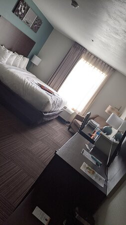 Wingate by Wyndham, Kings Bay Naval base主图