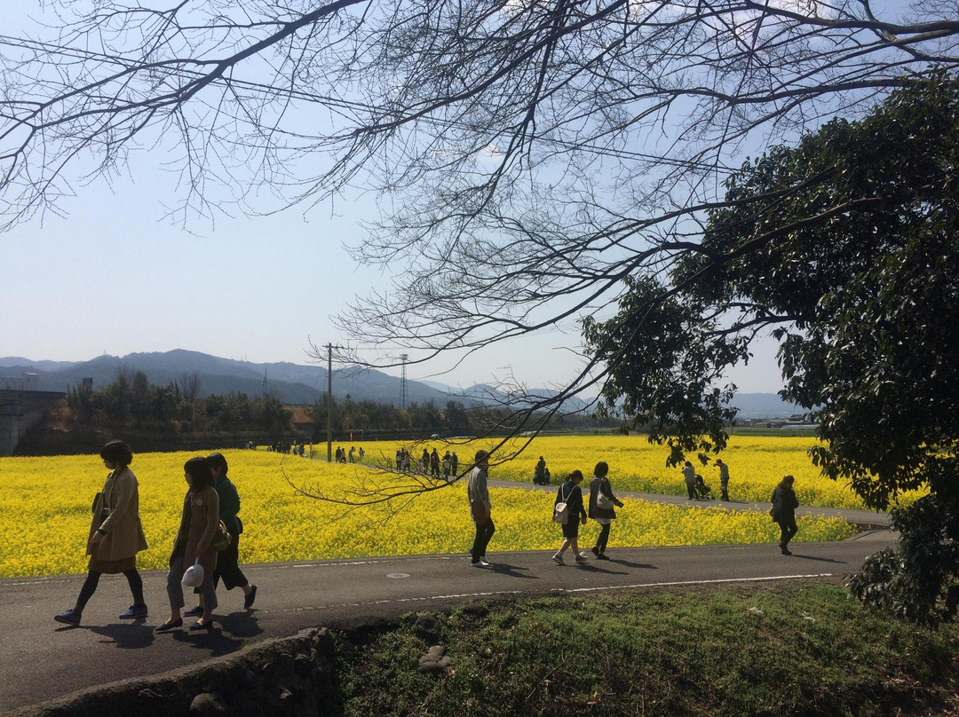 Great Sign Botchan Theater-东温市必去景点