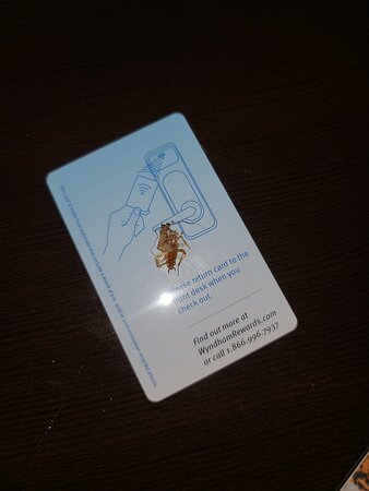 La Quinta Inn & Suites by Wyndham Laredo Airport-客卧