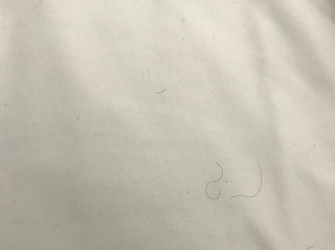 Holiday Inn Express & Suites Greenville - Taylors by IHG主图