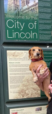 Lincoln Visitor Information Centre景点图片