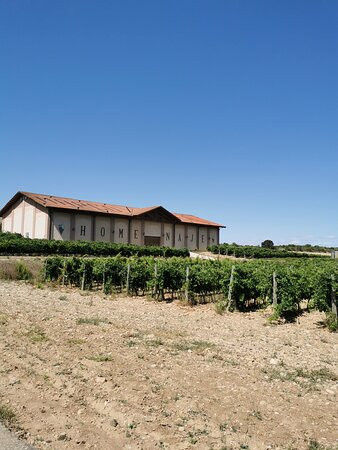 Bodegas Marco Real-Olite必去景点