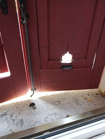 Hotel Villa Flora主图