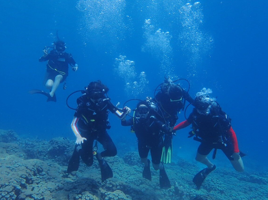 Menjangan Tour Snorkeling & Diving景点图片