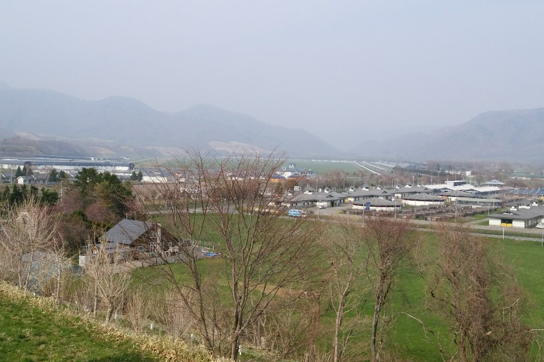 Yushun Sakura Road景点图片