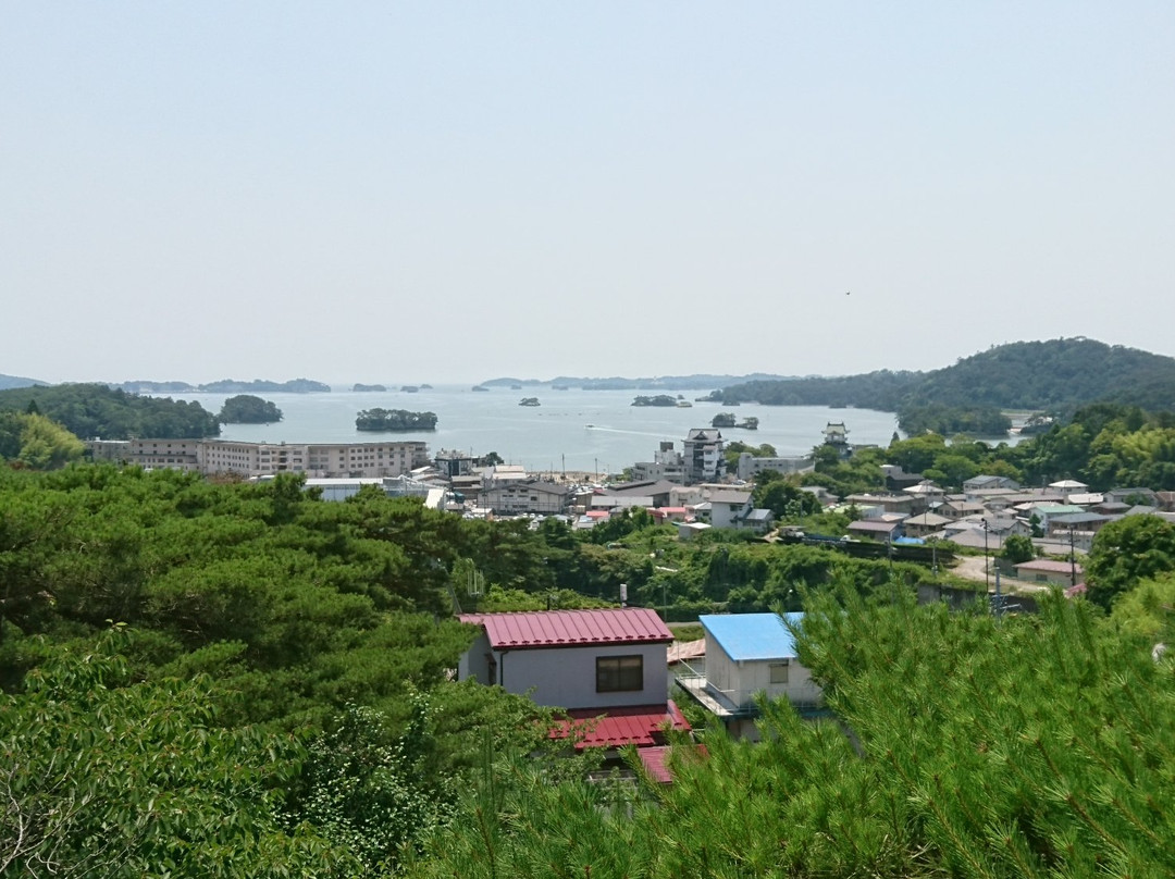 Shin Tomiyama Viewing Platform景点图片