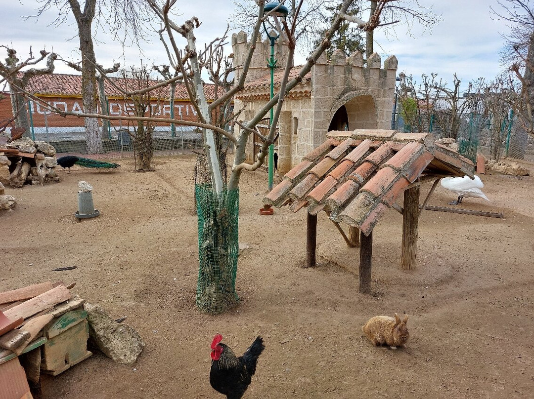 Zoo de Aves景点图片
