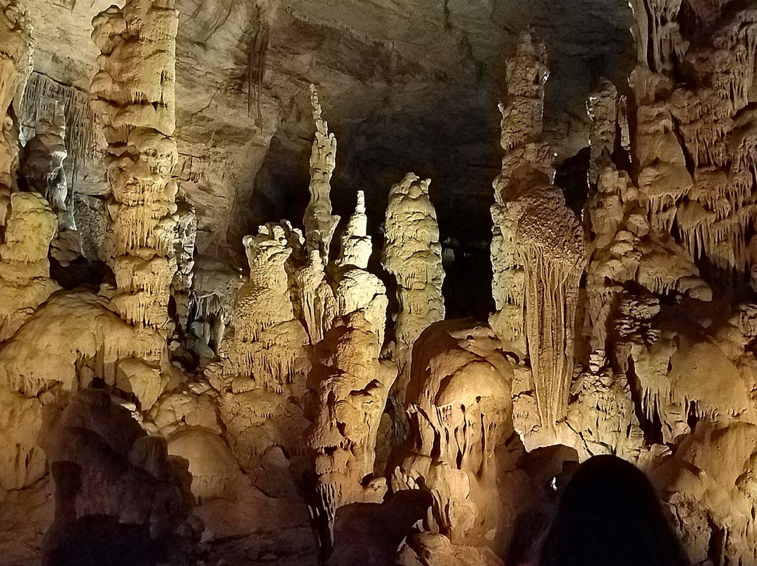 Woodville旅游攻略图片