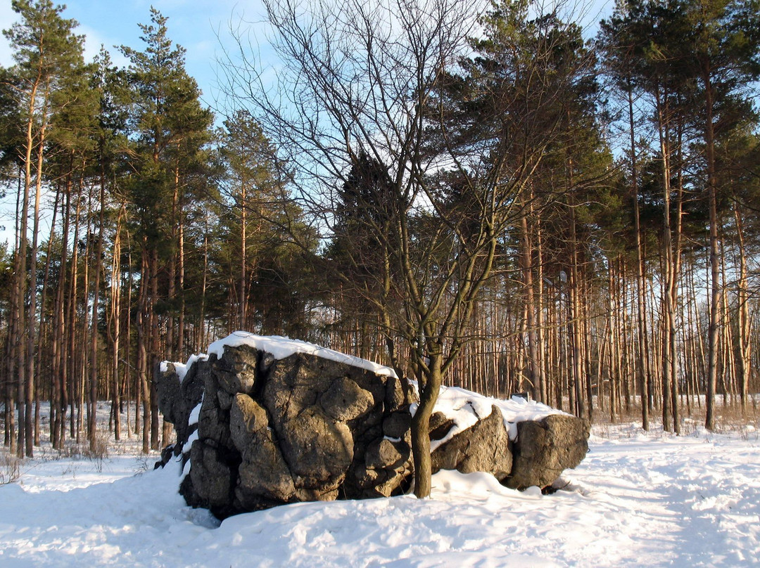 Vinnytsia Oblast旅游攻略图片