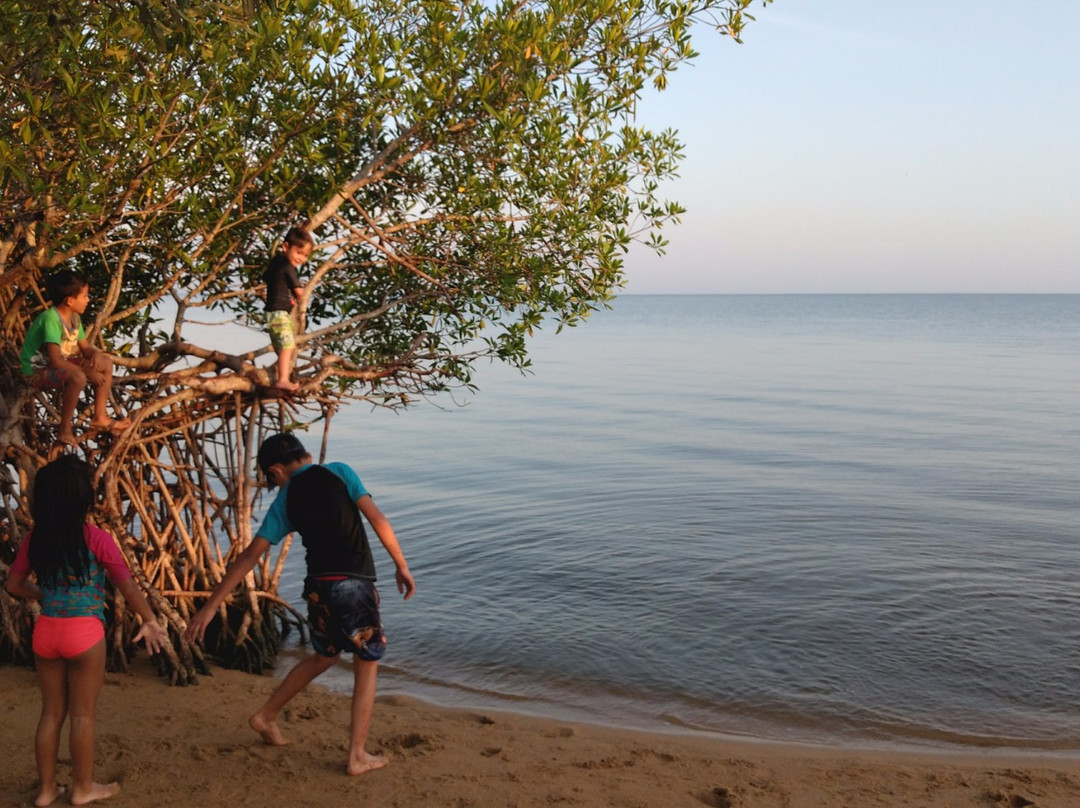 Tonala旅游攻略图片
