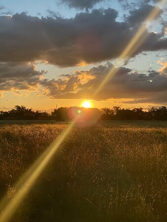 Los Dos Vagones主图