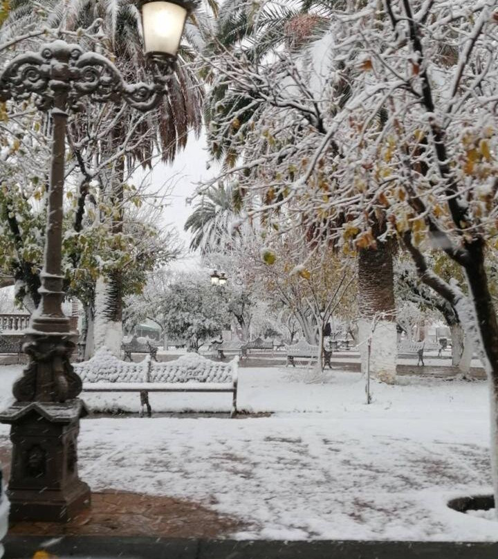 Meoqui旅游攻略图片