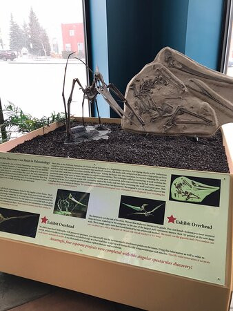 Rocky Mountain Dinosaur Resource Center-Woodland Park必去景点