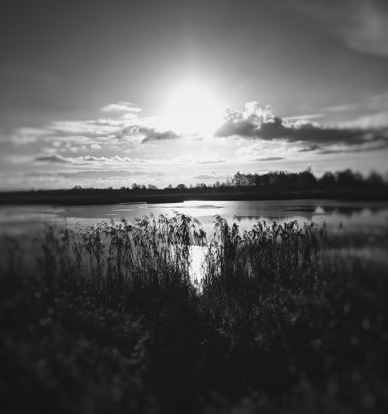 North Cave Wetlands Nature Reserve景点图片