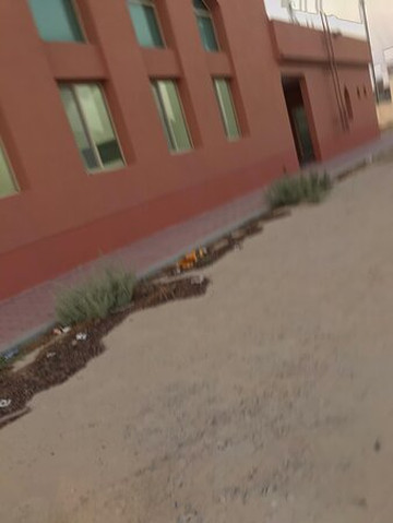 Hamad Al Saleh Al Ibrahim Mosque