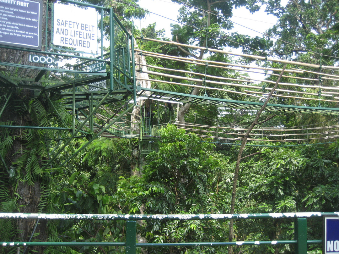 Tree Top Adventure Subic景点图片