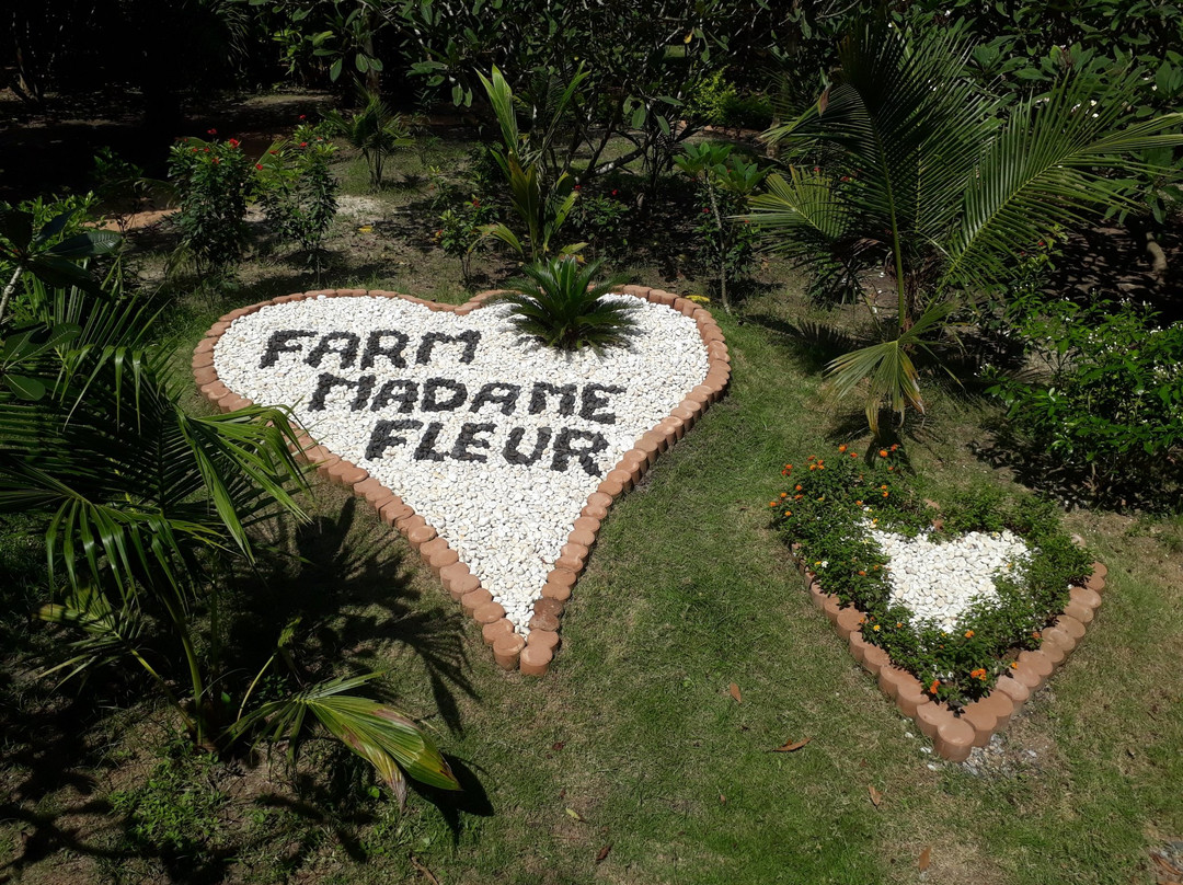 Farm Madame Fleur景点图片