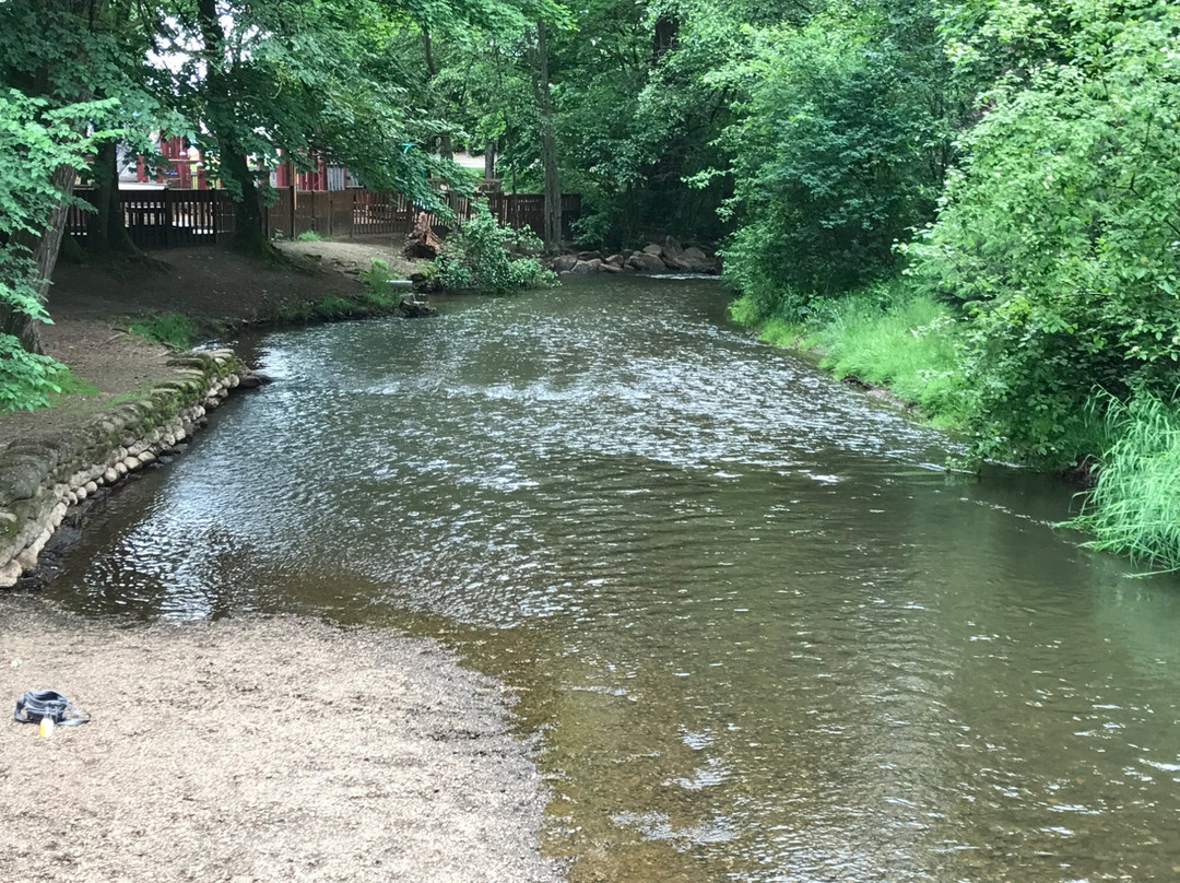 Lynden旅游攻略图片