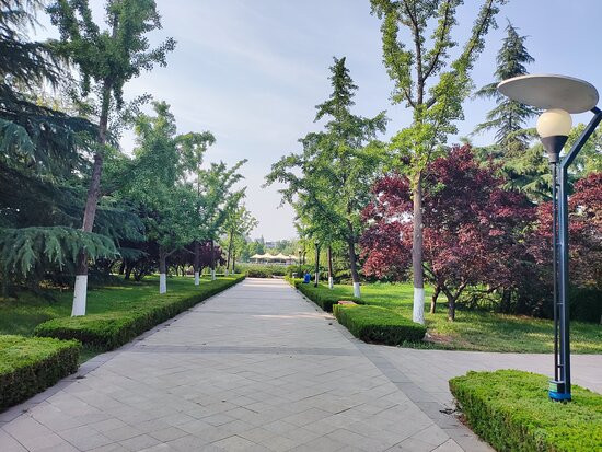 淄博植物园-淄博市必去景点