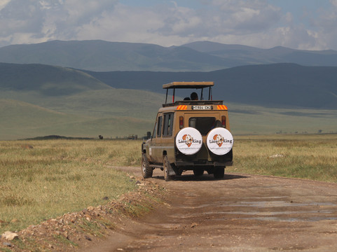 Lion King Adventures