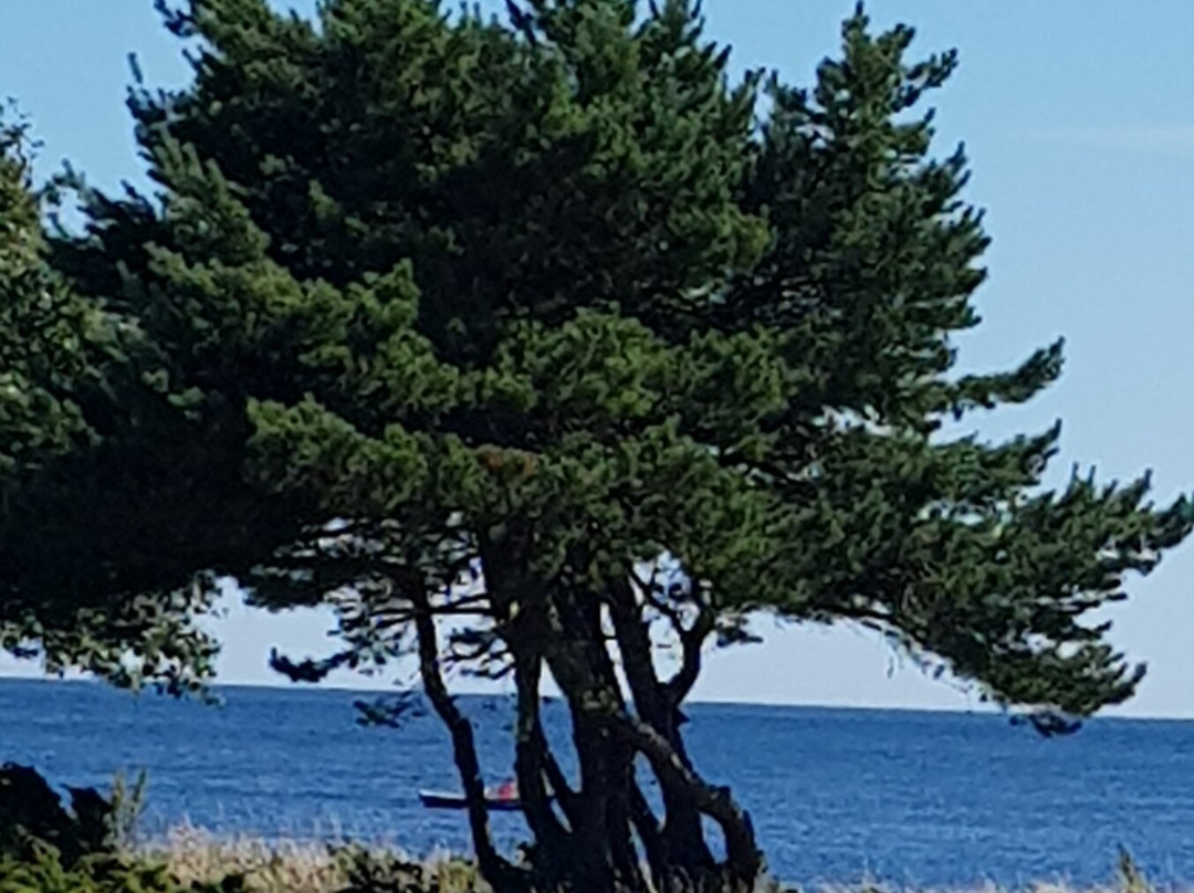 Gjutjärn Pub & Restaurang
