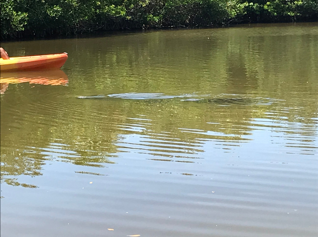 Manatee Cove Park景点图片