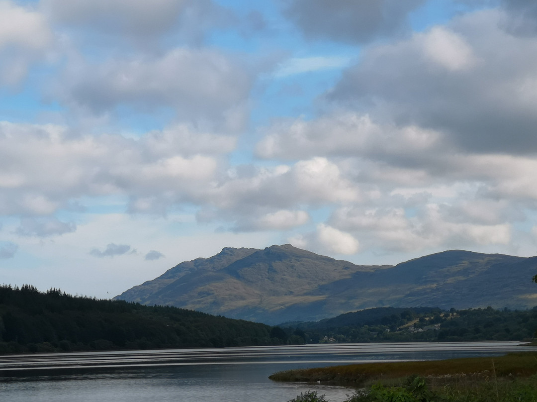 Carlingford Lough Greenway景点图片