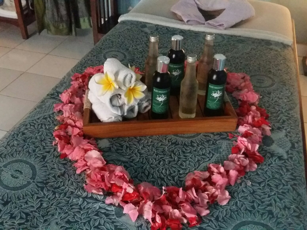 Bliss Massage & Tour Activity's