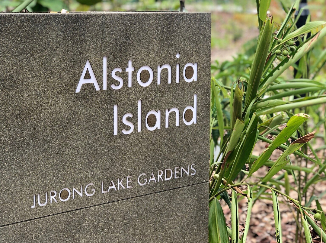 Jurong Lake Garden-新加坡必去景点