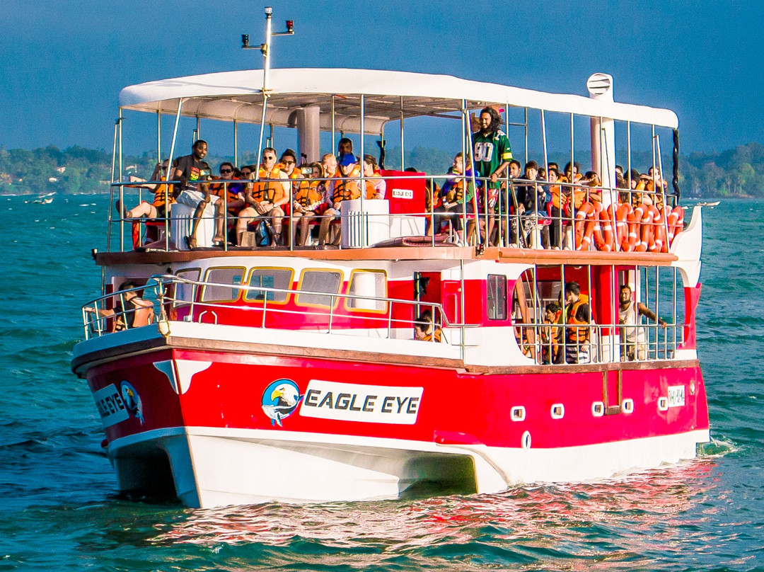 Eagle Eye Whale Watching-美蕊沙必去景点