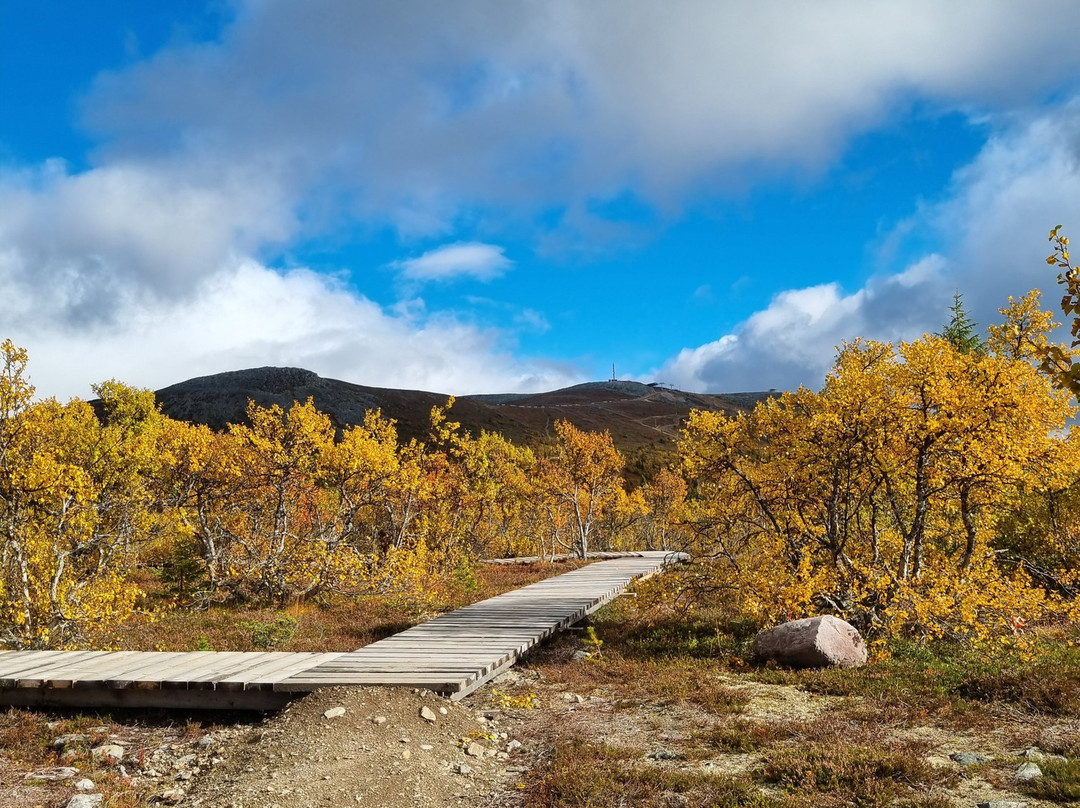 Lofsdalen Fjällpark MTB景点图片