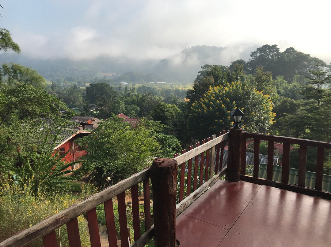 Forest Guesthouse主图