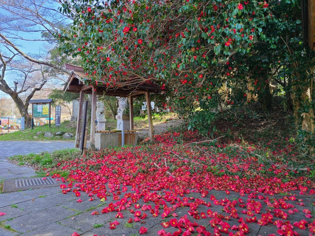 Taka Shrine-井手町必去景点