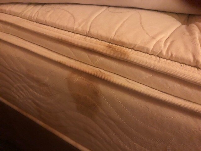 Ramada by Wyndham Columbus North-浴室