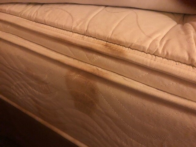 Ramada by Wyndham Columbus North主图