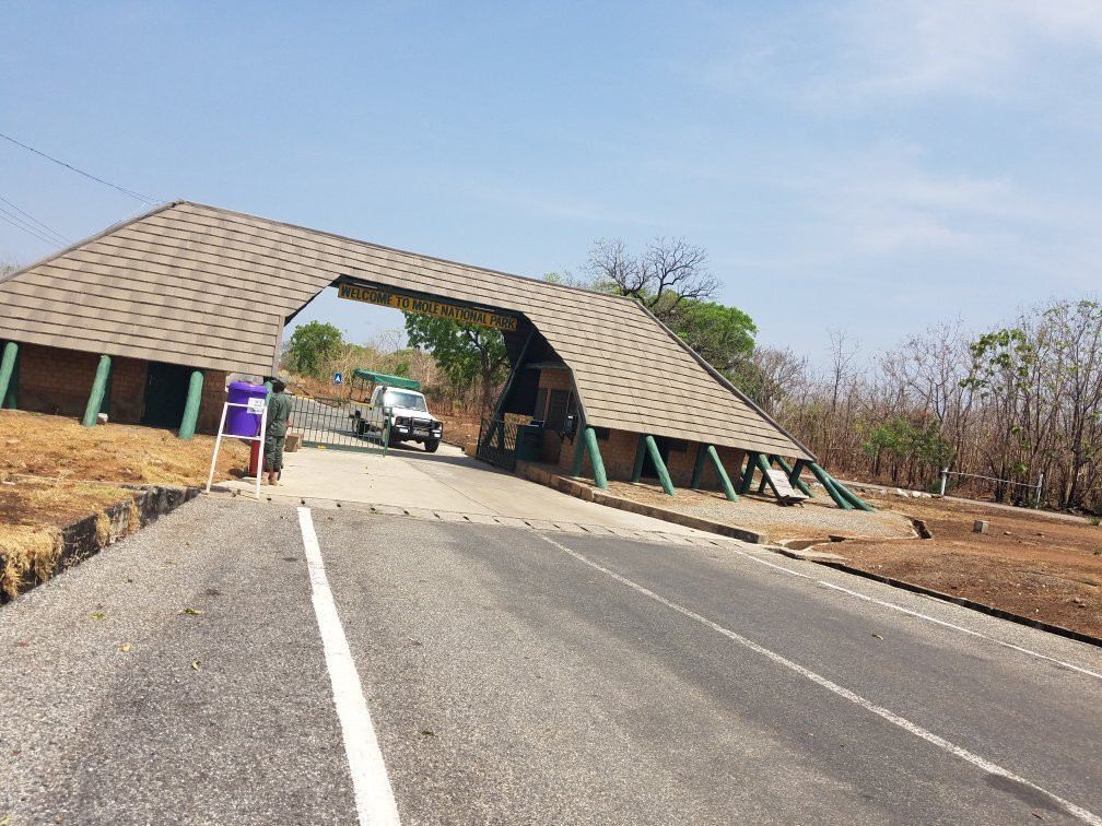 Mole National Park-Wa必去景点