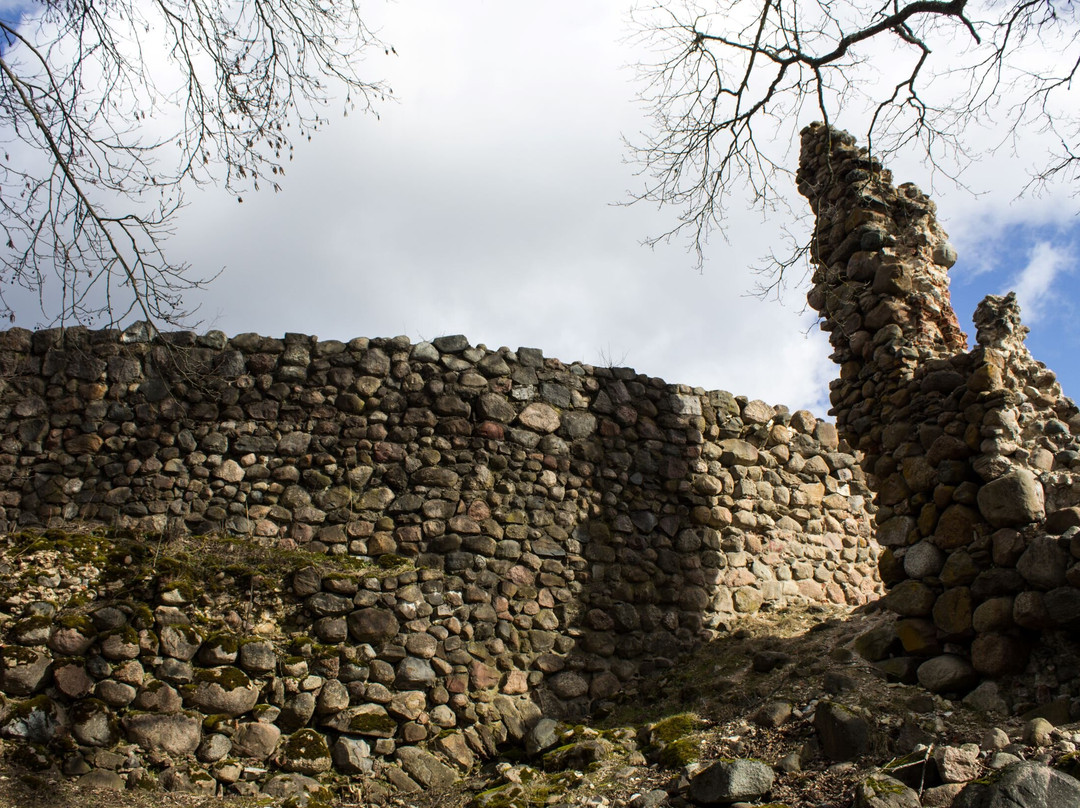 Aluksne Castle Island