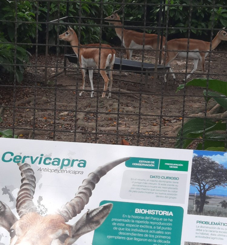 Parque de la Conservación景点图片