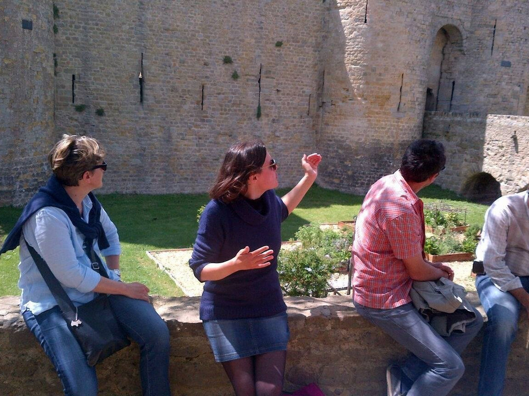 Carcassonne Visite Guidée景点图片