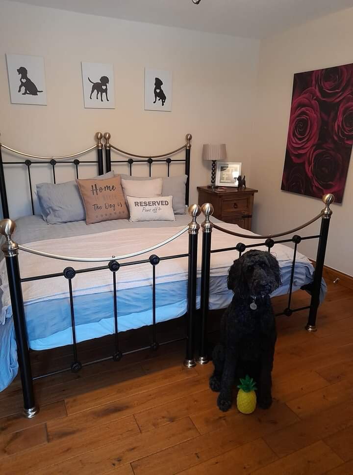 Lyonshall Lodge-官方