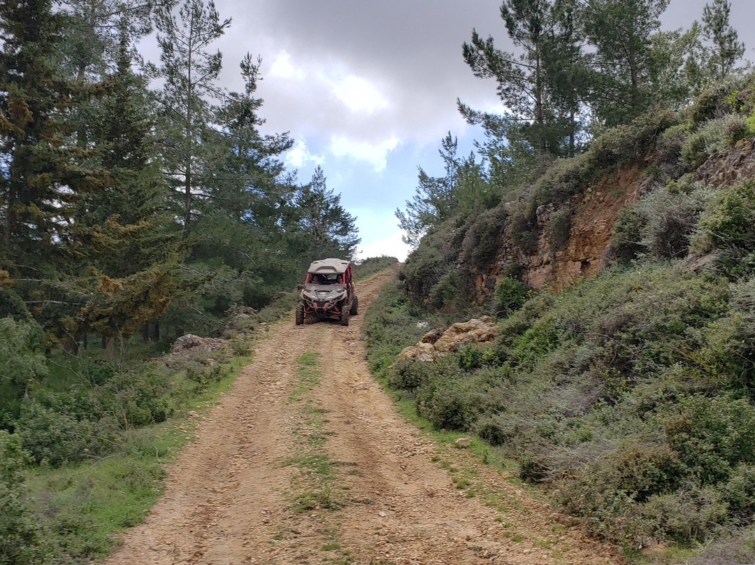 Re-Gush ATV & Jeep tours in Gush Etzion景点图片
