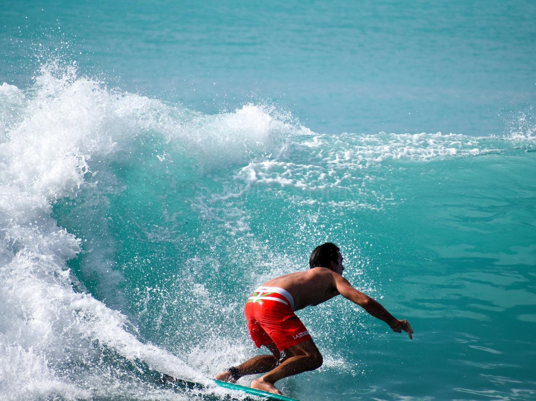 Burkie Surf School-基督城必去景点
